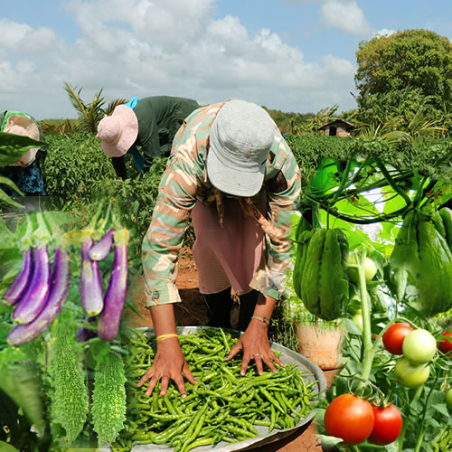 කෘෂි කර්මාන්ත ණය යෝජනා ක්‍රමය