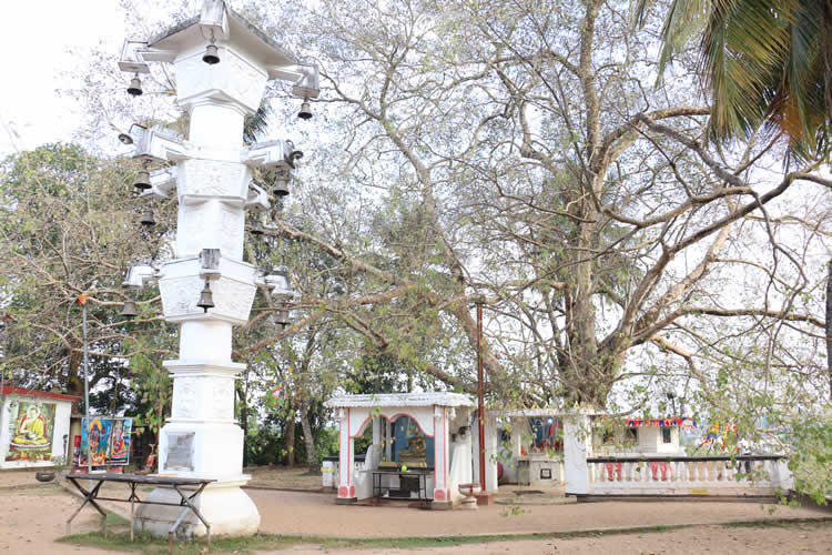 20වන සංවත්සරය