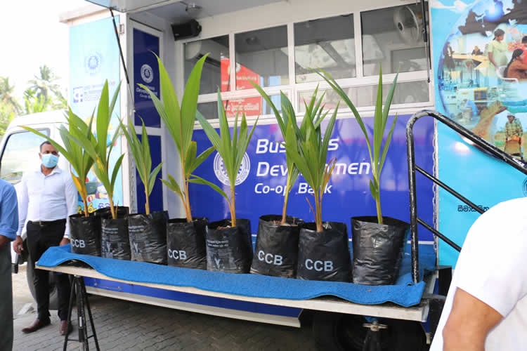 20වන සංවත්සරය