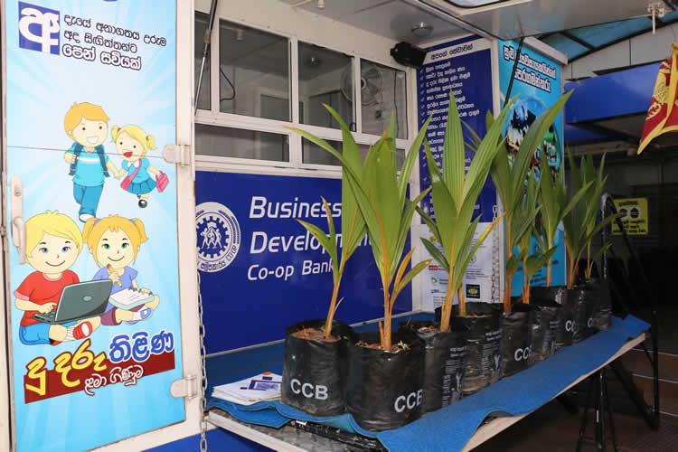 20වන සංවත්සරය