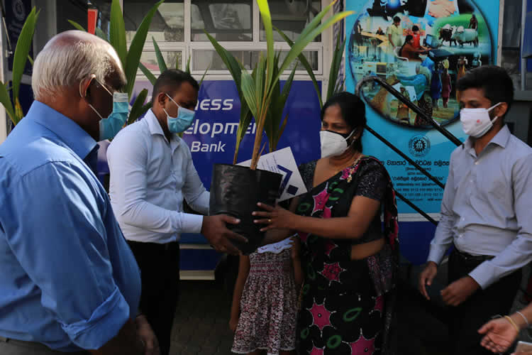 20වන සංවත්සරය