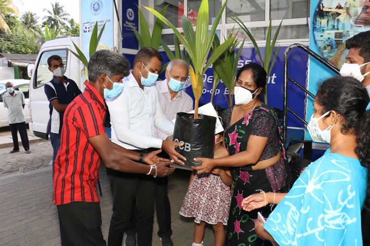 20වන සංවත්සරය