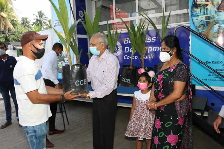 20වන සංවත්සරය