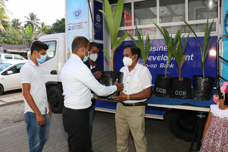 20වන සංවත්සරය