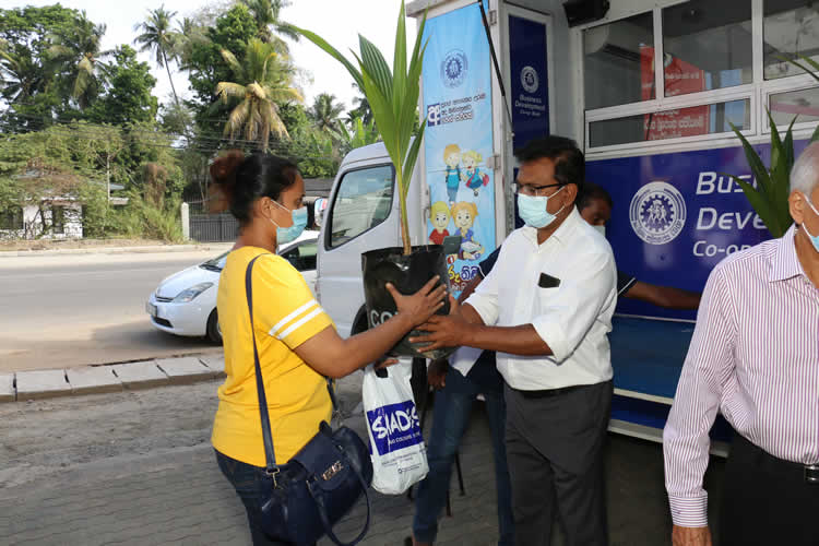 20වන සංවත්සරය