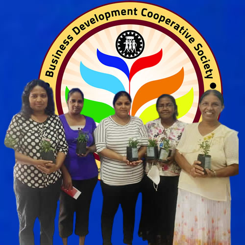 ව්‍යාපාර සංවර්ධන බැංකුවේ සාඩම්බර සාමාජිකත්වය